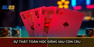 Sự thật toán học đằng sau con cầu