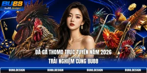 Đá Gà Thomo Trực Tuyến Năm 2026 | Trải Nghiệm Cùng BU88