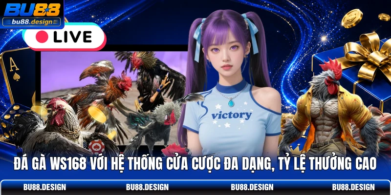 Đá gà WS168 với hệ thống cửa cược đa dạng, tỷ lệ thưởng cao